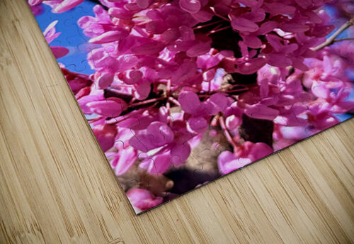 IMG 1696 Click4Pix puzzle