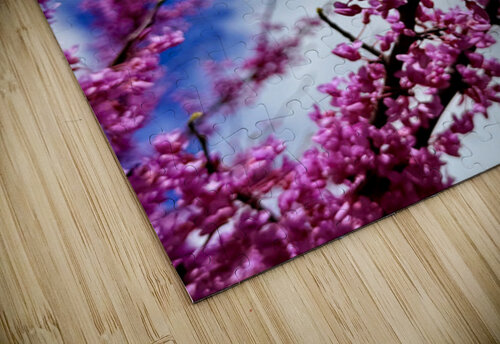 IMG 1550 Click4Pix puzzle