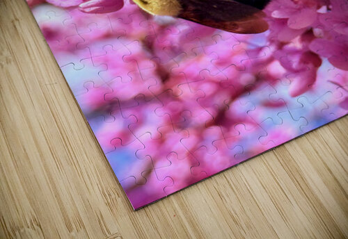 IMG 1670 Click4Pix puzzle