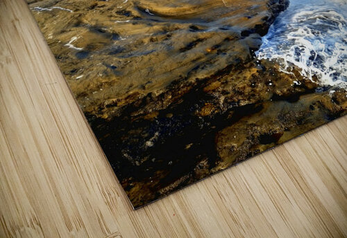 Seal Meditation Click4Pix puzzle