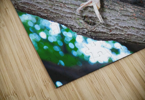 Yes I like Chicken Wings  Click4Pix puzzle