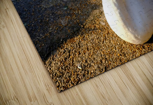 Swan Poses 1B Click4Pix puzzle