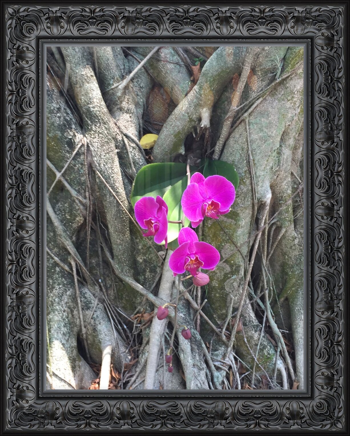 Impression de cadre personnalisé