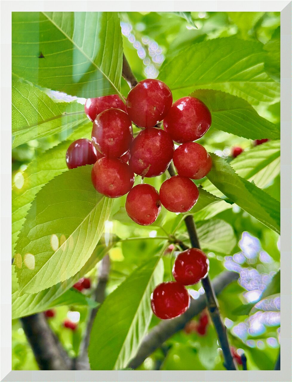 Impression de cadre personnalisé