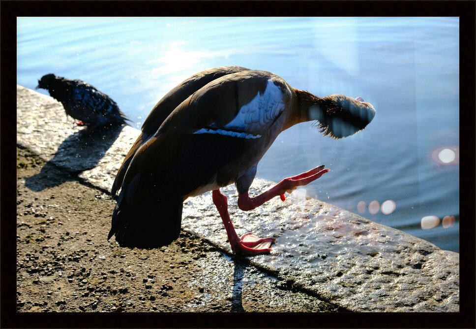 Impression de cadre personnalisé