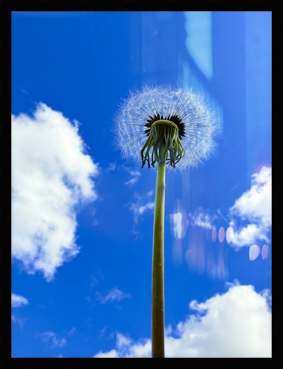 Impression de cadre personnalisé