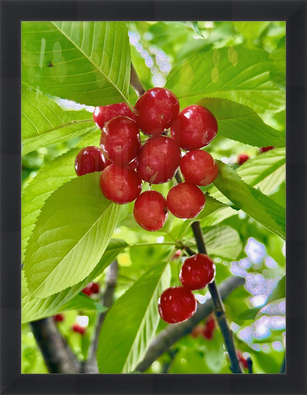 Impression de cadre personnalisé