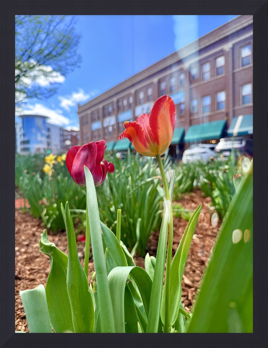 Impression de cadre personnalisé