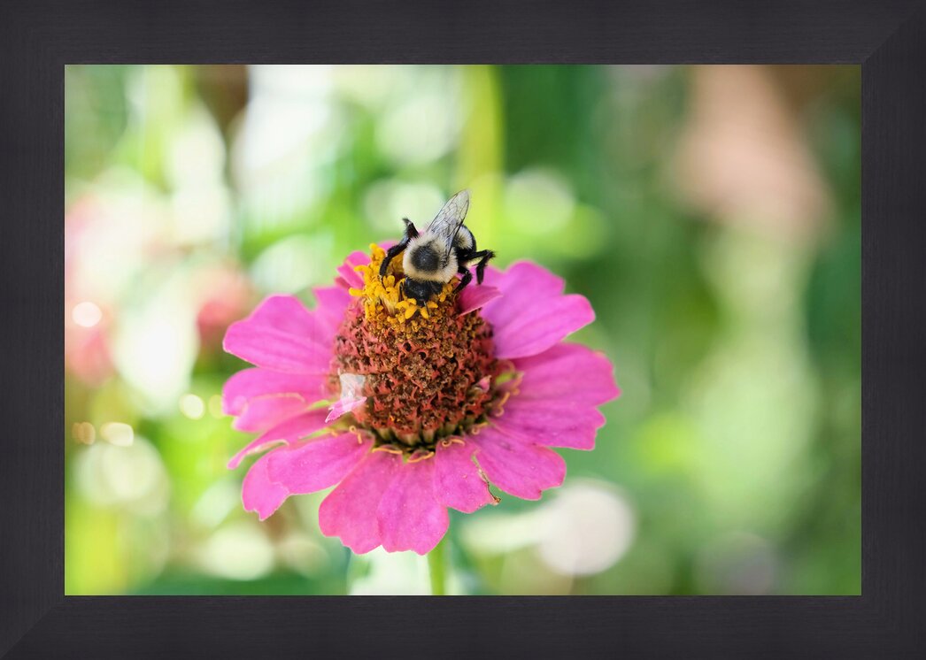Impression de cadre personnalisé