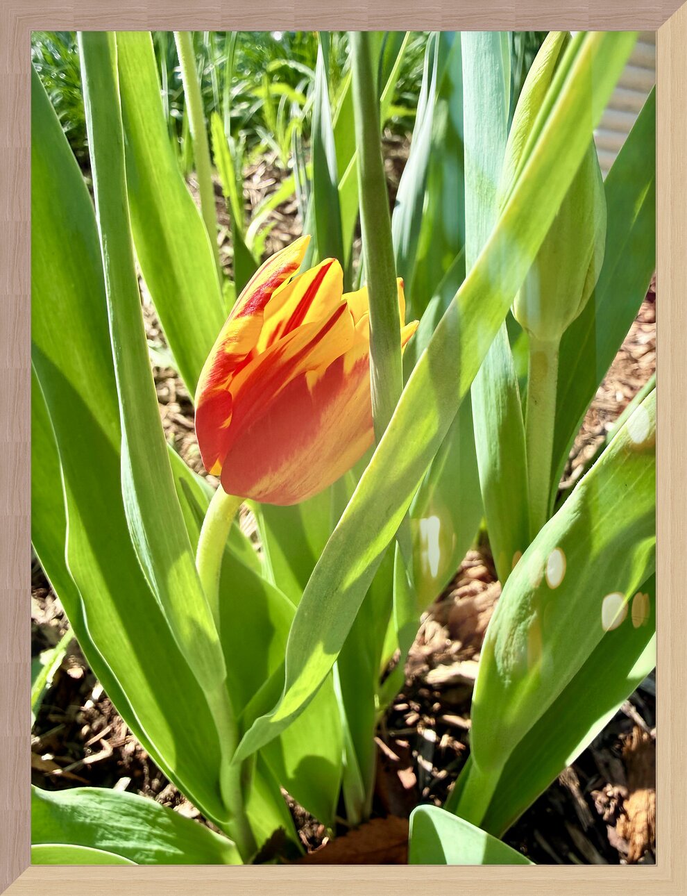 Impression de cadre personnalisé