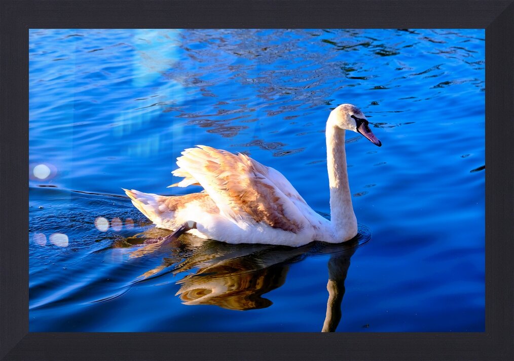 Impression de cadre personnalisé