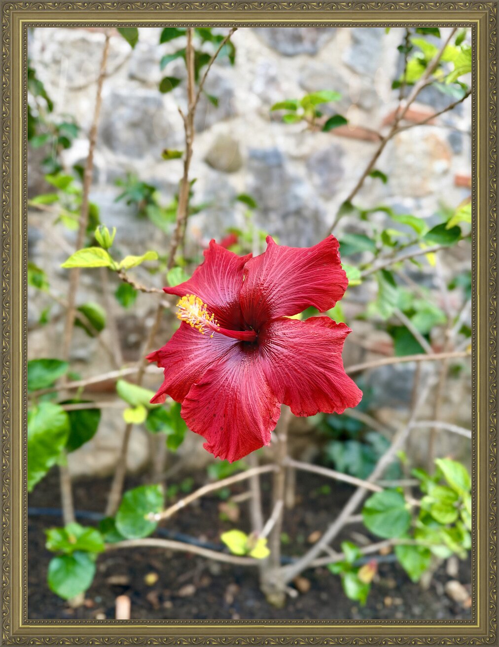 Impression de cadre personnalisé