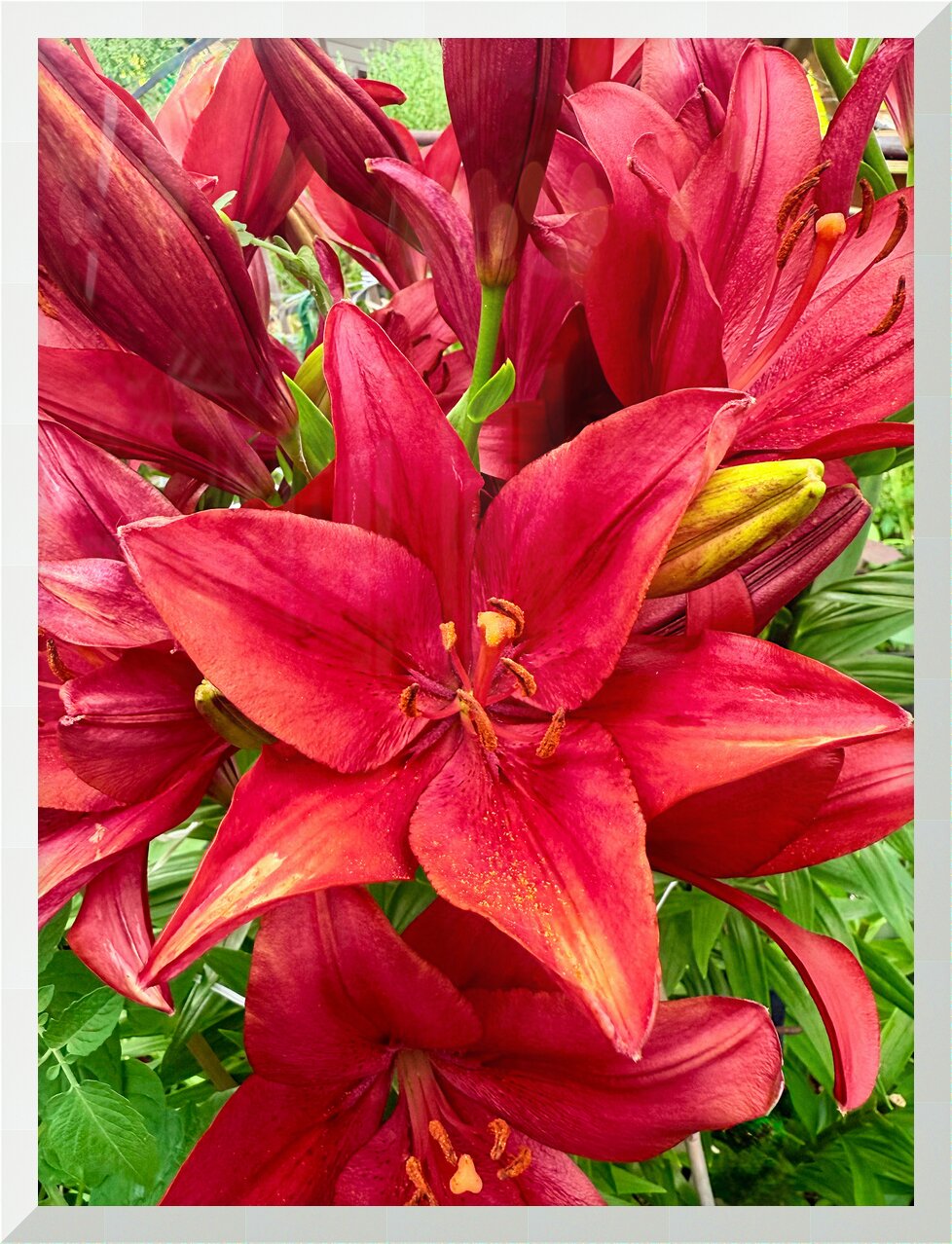 Impression de cadre personnalisé