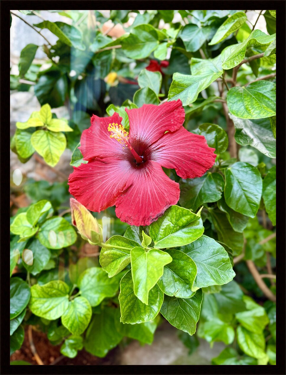 Impression de cadre personnalisé