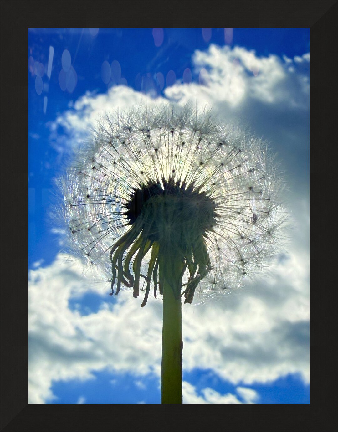 Impression de cadre personnalisé