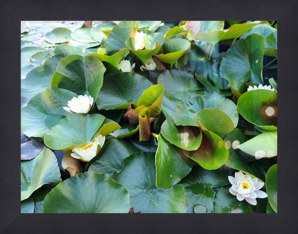 Impression de cadre personnalisé