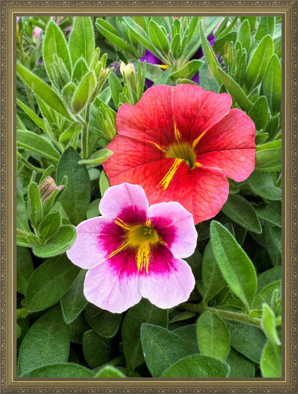 Impression de cadre personnalisé