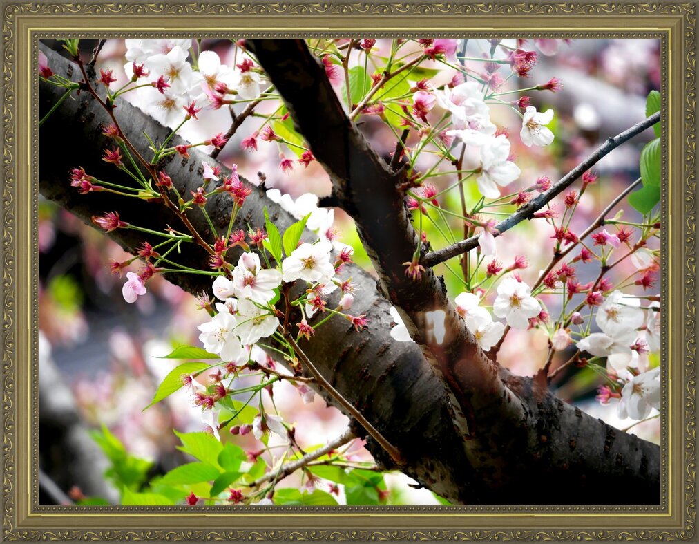 Impression de cadre personnalisé