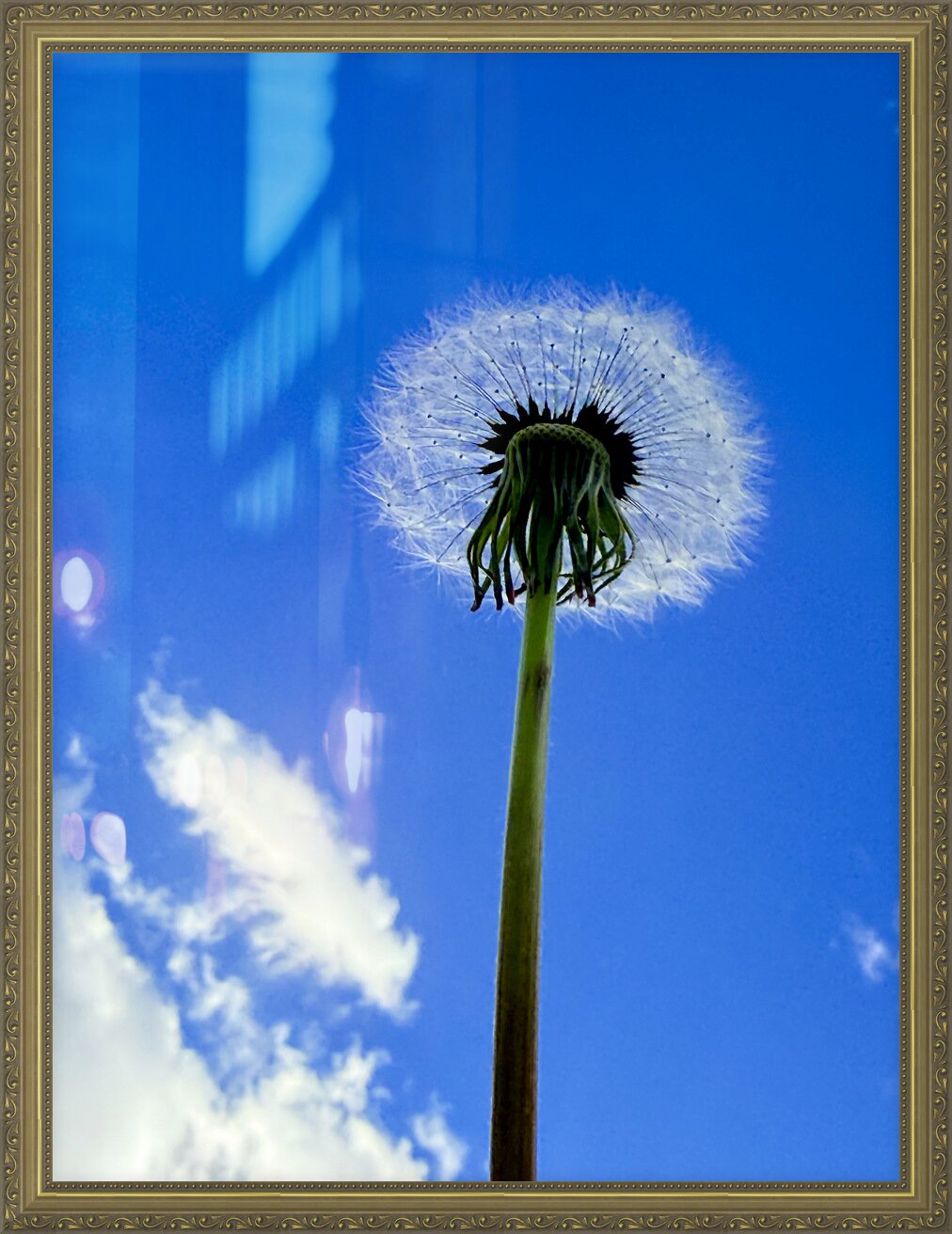 Impression de cadre personnalisé