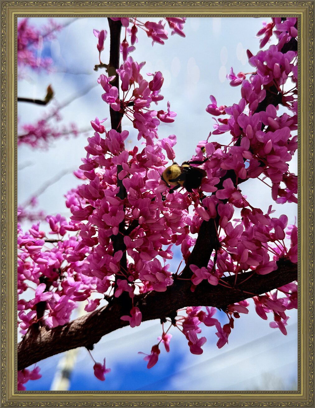 Impression de cadre personnalisé