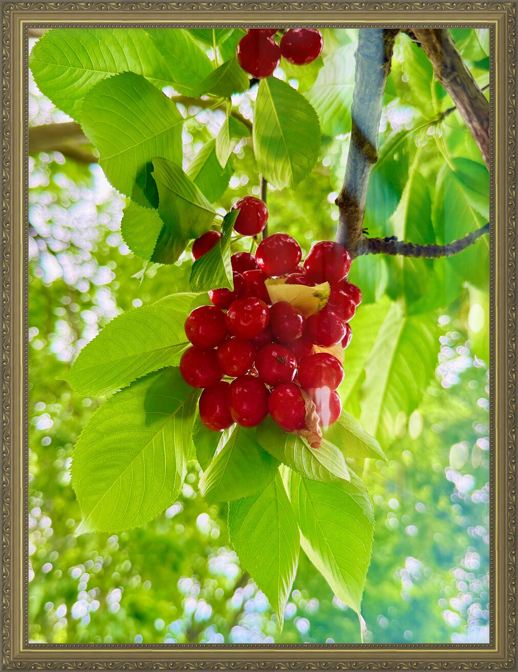 Impression de cadre personnalisé