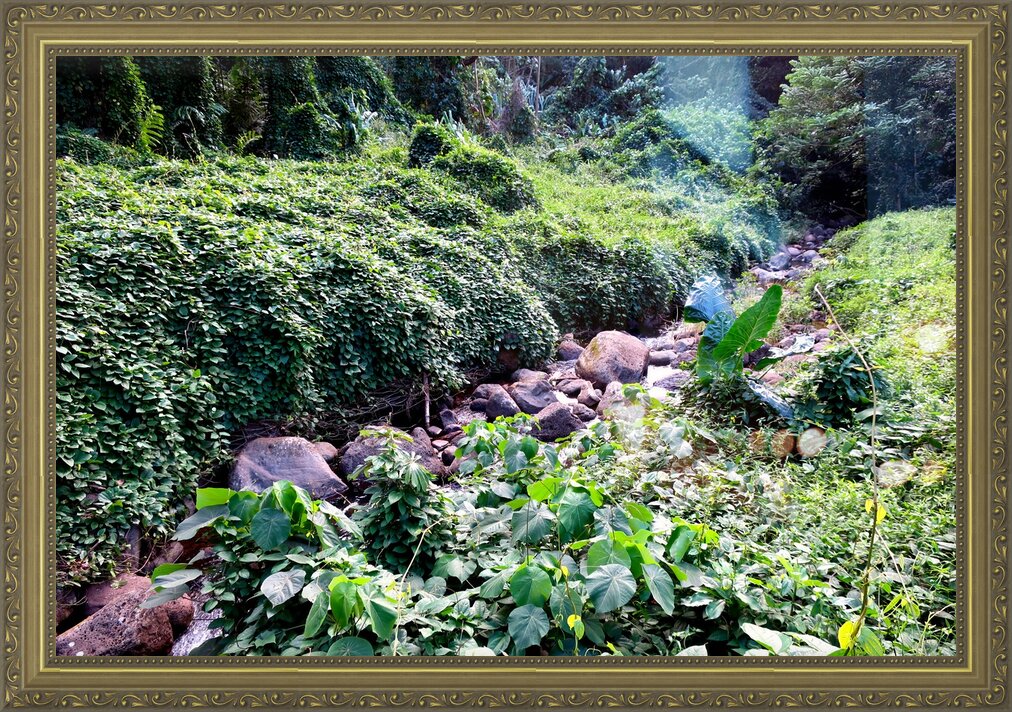 Impression de cadre personnalisé