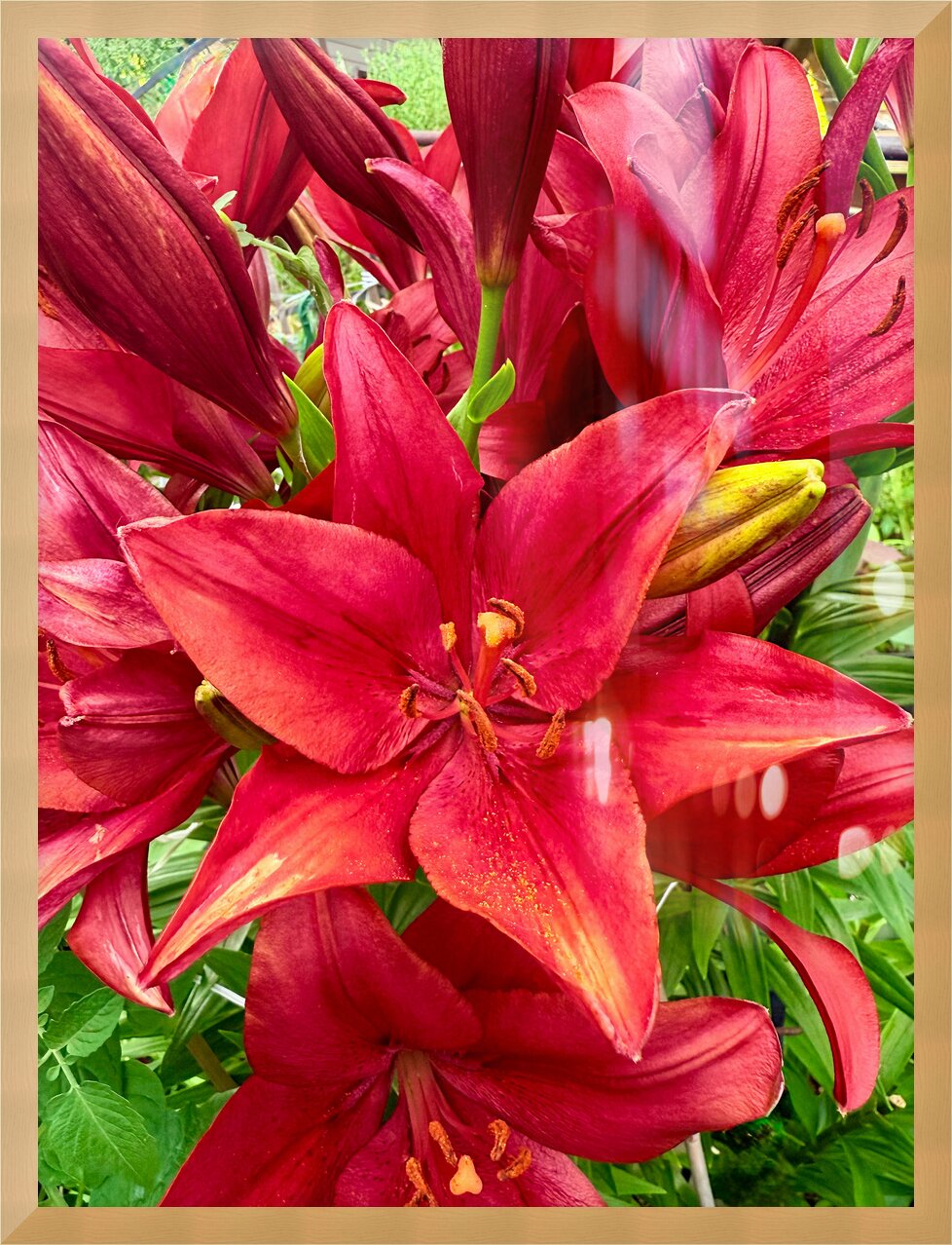 Impression de cadre personnalisé