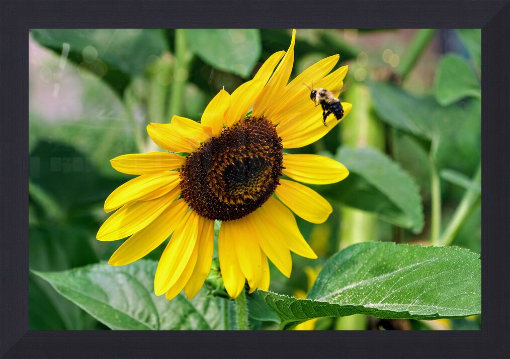 Impression de cadre personnalisé