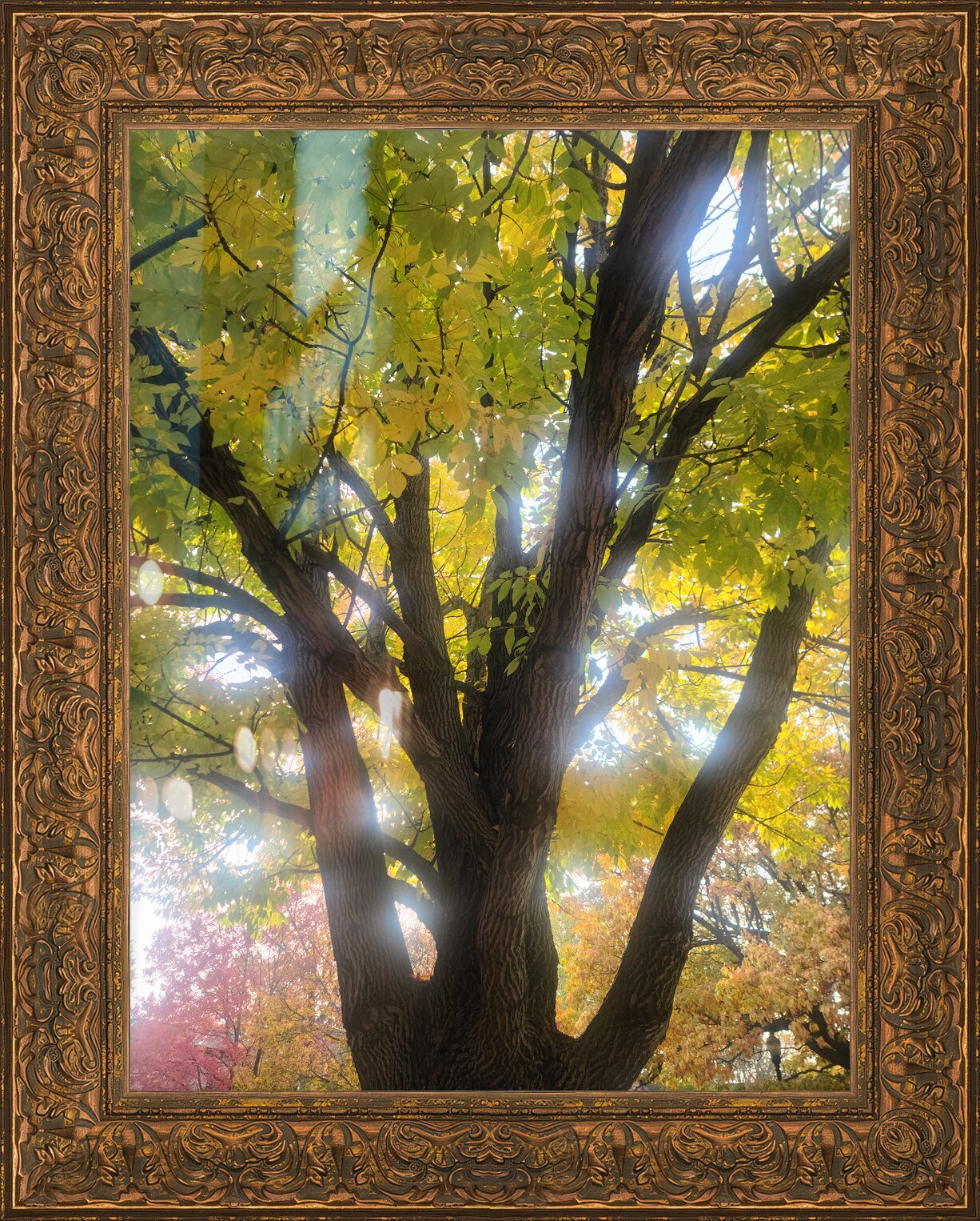 Impression de cadre personnalisé