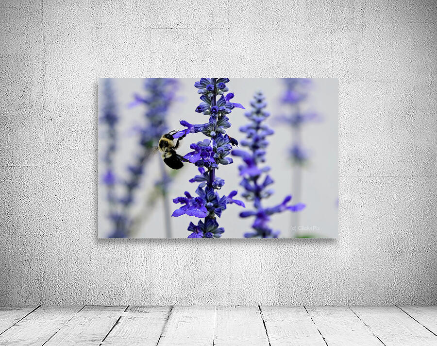 Lavender Towers and the Bee Wall Preview