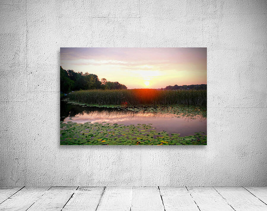 Over Lilyglass Waters: A Dawn Reawakens Wall Preview