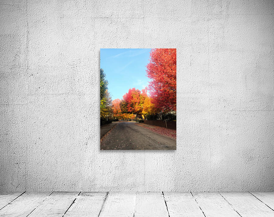 Fall Over the Fence Wall Preview