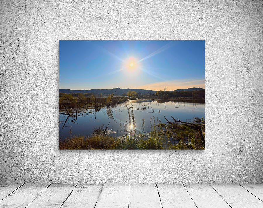 Sunrise Over Tranquil Wetlands with Sunbeam Reflection Wall Preview