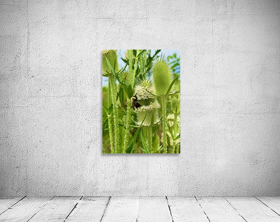 Wings and Spikes Wall Preview