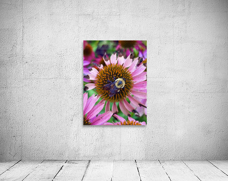 The Heart of Nature Wall Preview