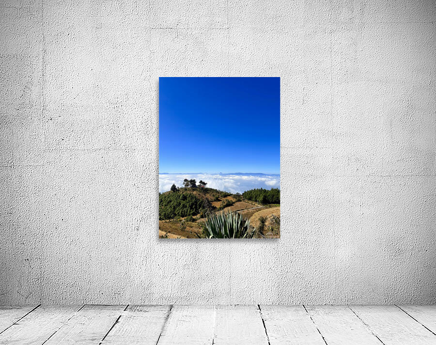 IMG 9129 Wall Preview