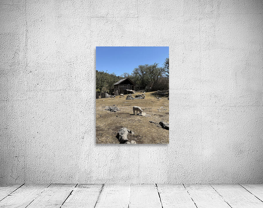 IMG 9504 Wall Preview