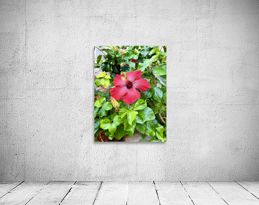 IMG 9958 Wall Preview