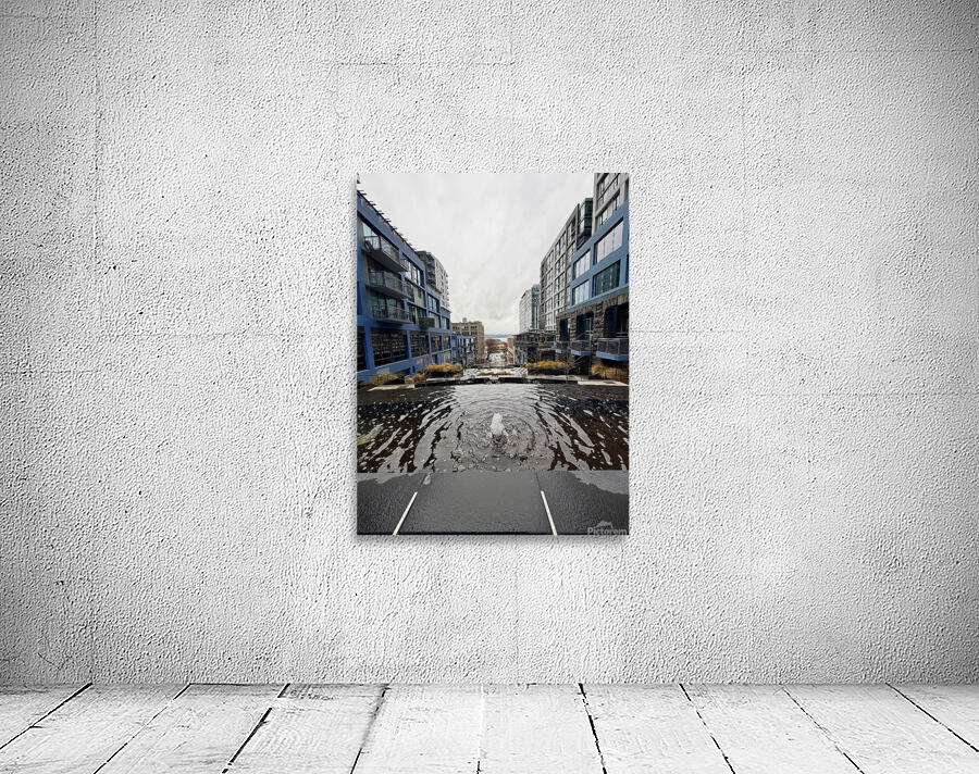 IMG 8437 Wall Preview