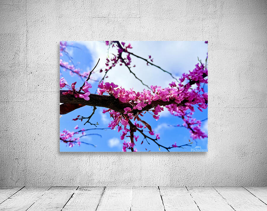 IMG 1703 Wall Preview