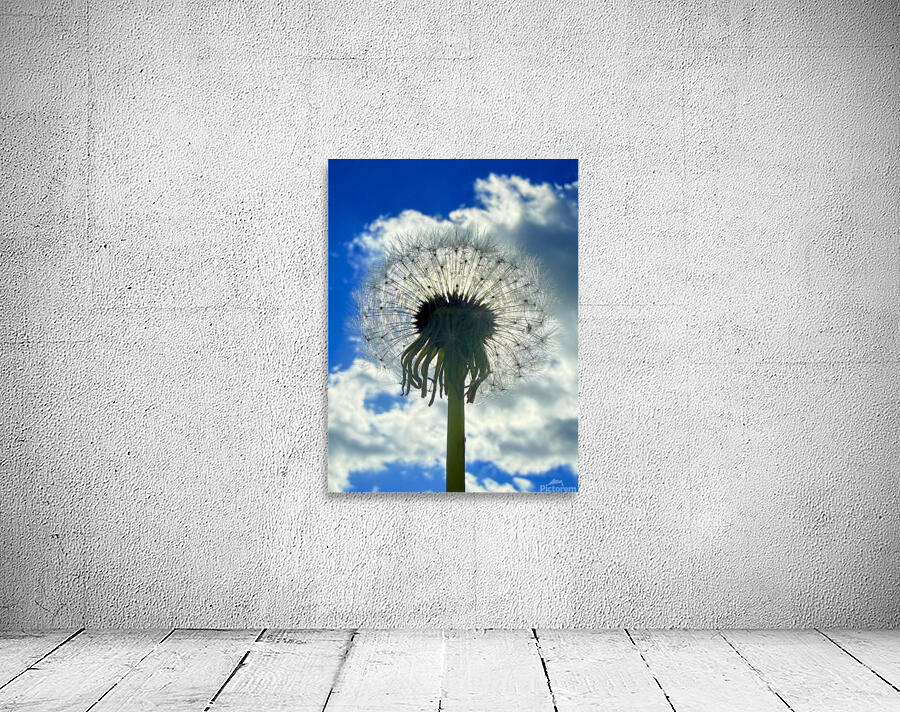 IMG 1740 Wall Preview