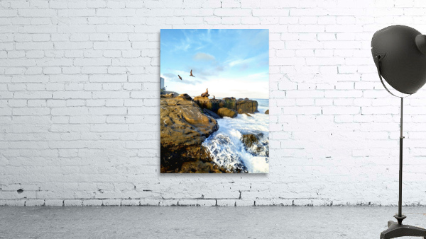 Seal Meditation Wall Preview