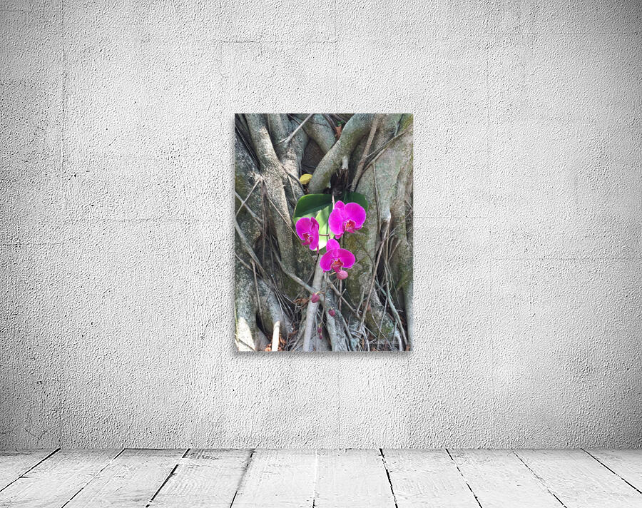 Natural Orchid 1B Wall Preview