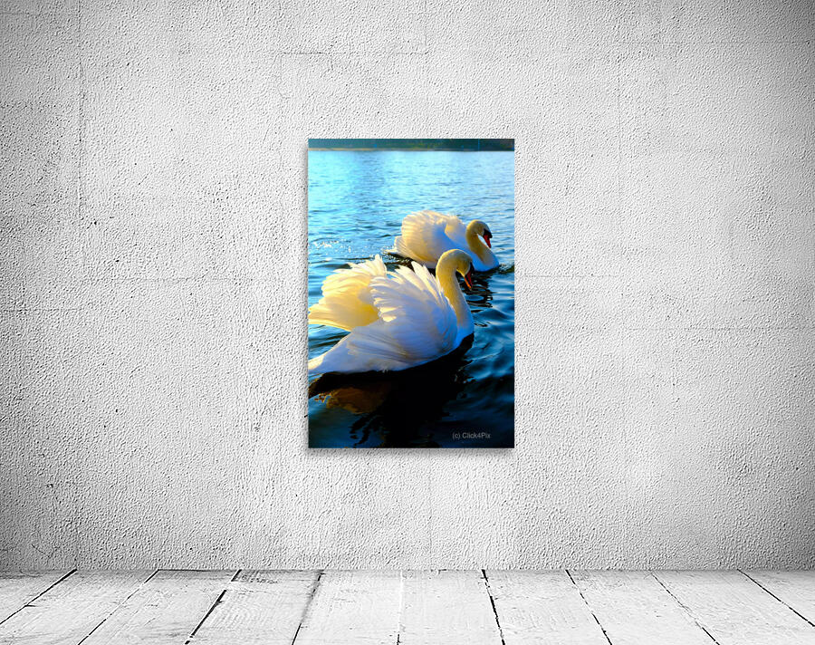 Wings of Love Pair 3 Wall Preview