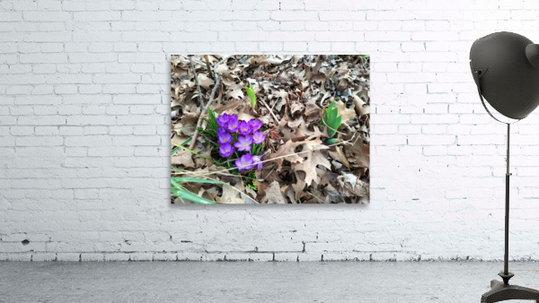 Spring Emerges Wall Preview