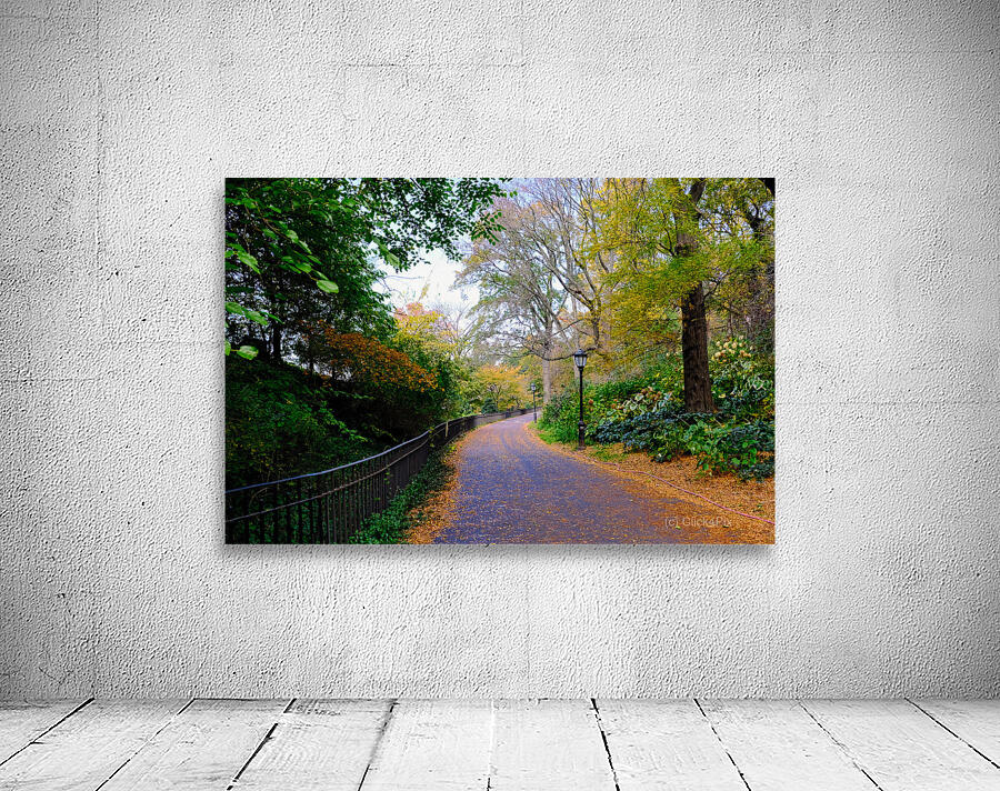 Autumn Stroll Wall Preview