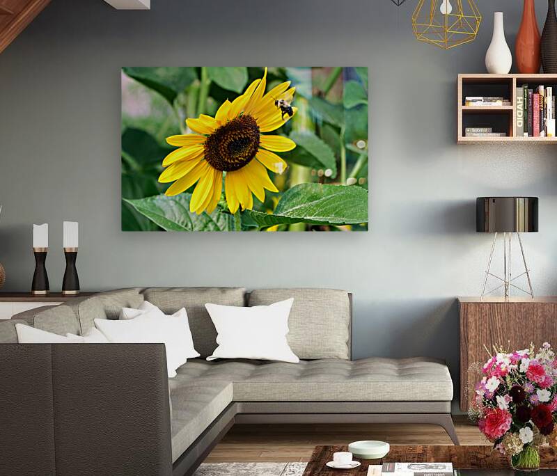 Flying into the Sun..Flower – The Dance of Daylight Reproduction