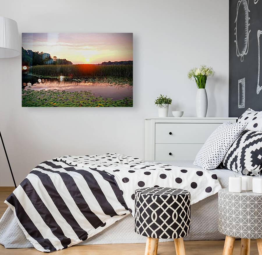 Over Lilyglass Waters: A Dawn Reawakens Reproduction