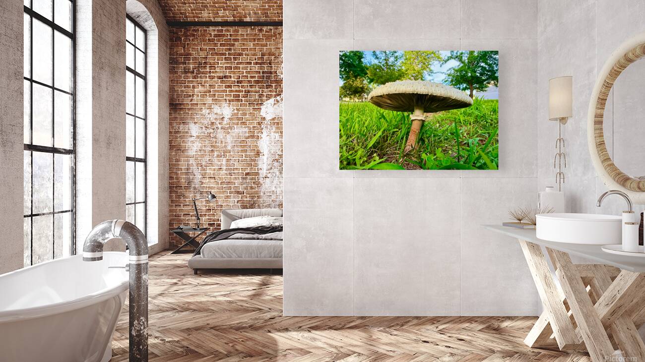 The Watcher in the Grass Reproduction