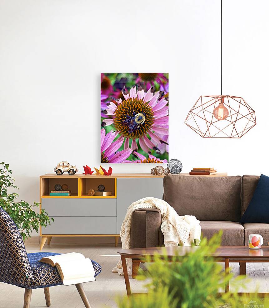 The Heart of Nature Reproduction